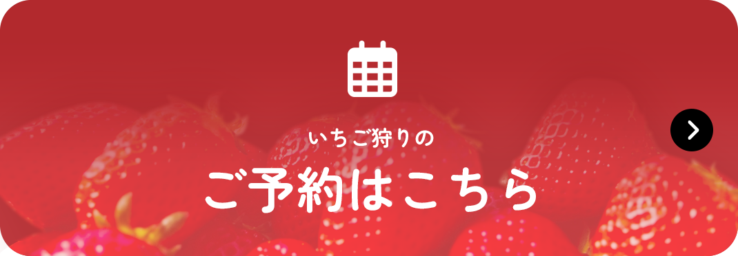 いちご狩りご予約はこちら